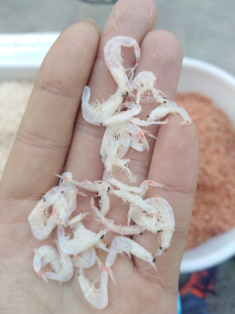 白虾皮