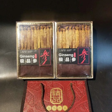 高丽参