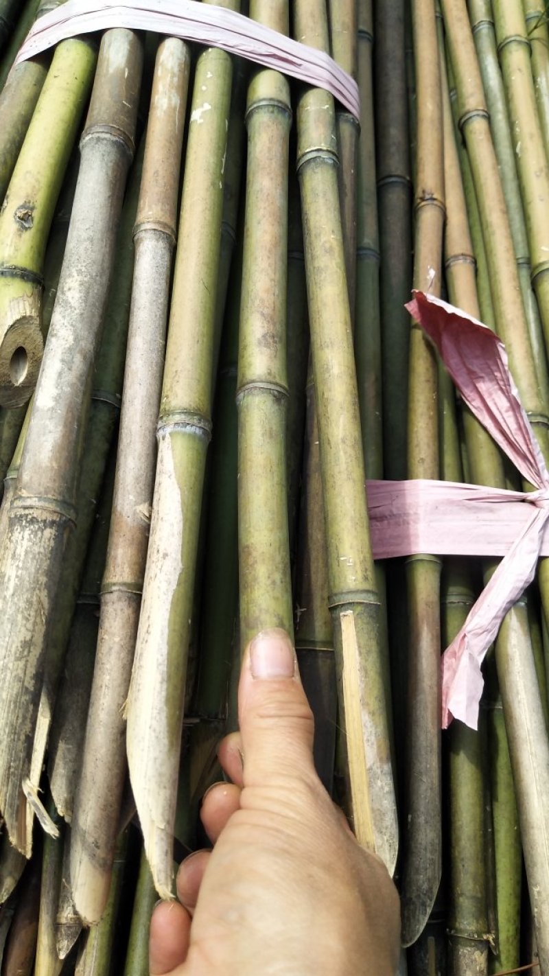 豆角架，黄瓜架，火龙果撑等各种瓜果架，现货批发，量大优惠