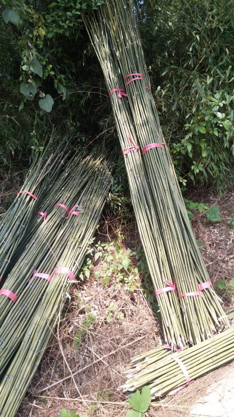 豆角架，黄瓜架，火龙果撑等各种瓜果架，现货批发，量大优惠