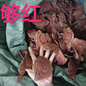 鸡血藤！红片野生鸡血藤各种规格精选煲汤煲泡酒、全检货
