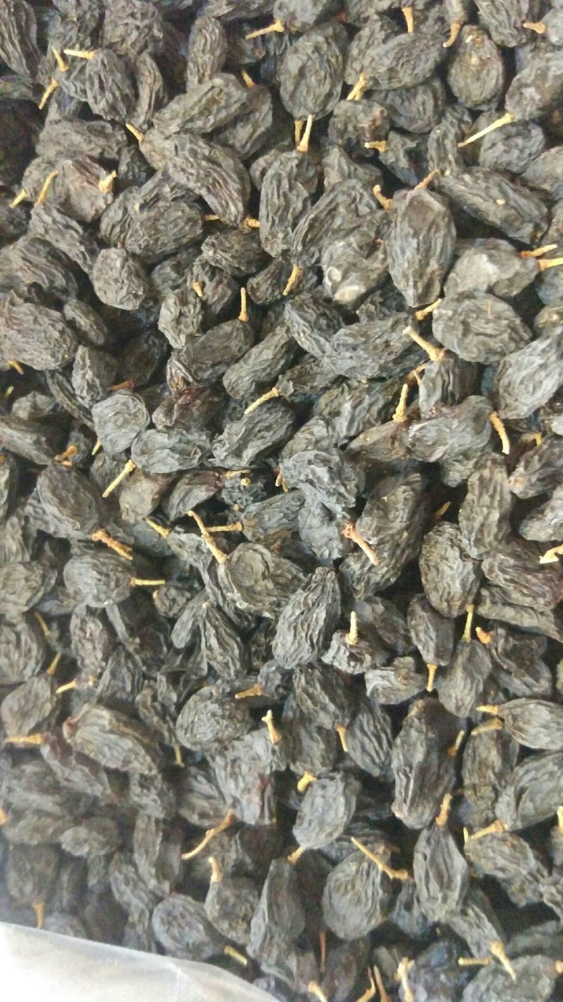 黑加仑葡萄干