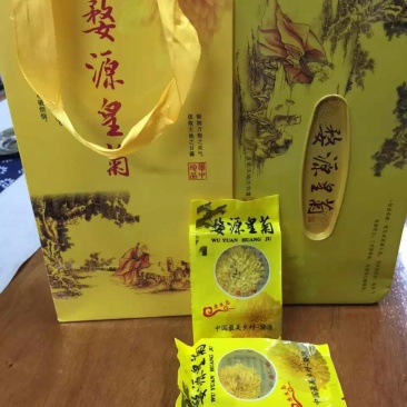 婺源皇菊