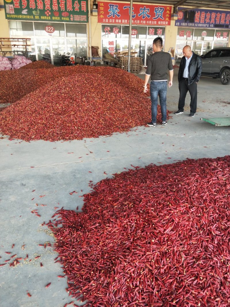 干辣椒山东产地供货一手货源量大优惠对接批发商超市