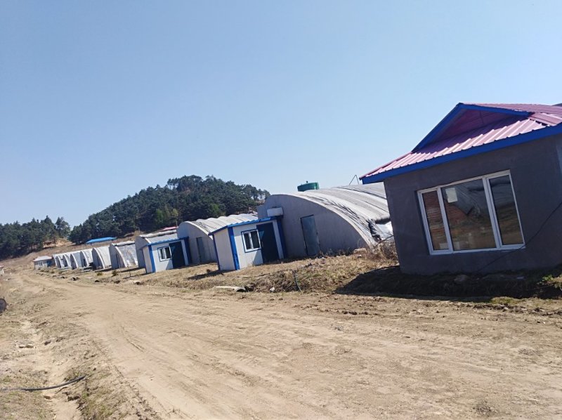 大棚及工厂场地出租