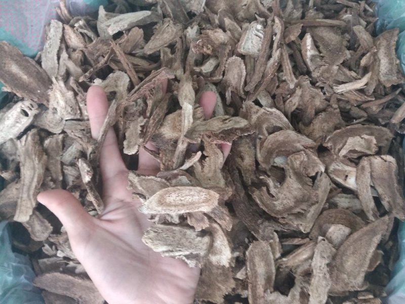 木香无硫云木香蜜香木香个木香片各种规格