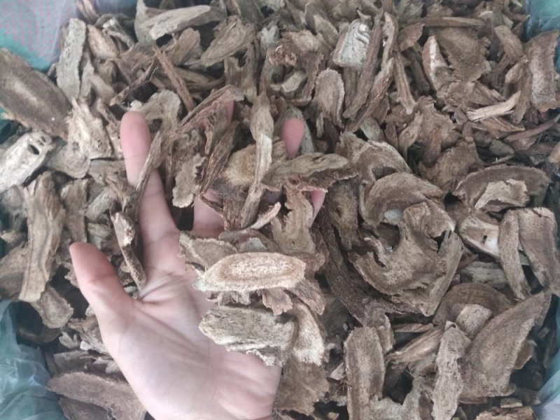 木香无硫云木香蜜香木香个木香片各种规格