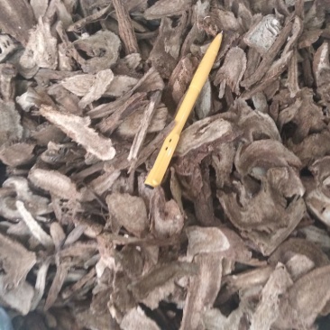 木香无硫云木香蜜香木香个木香片各种规格