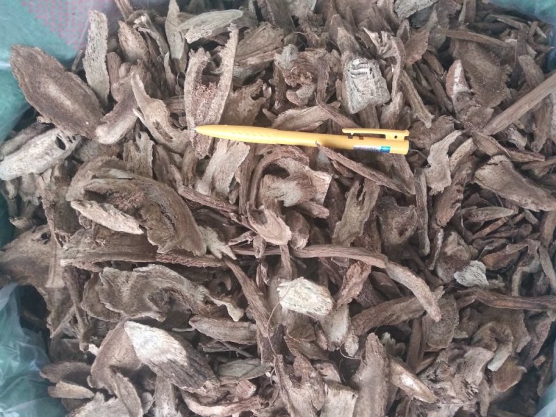 木香无硫云木香蜜香木香个木香片各种规格