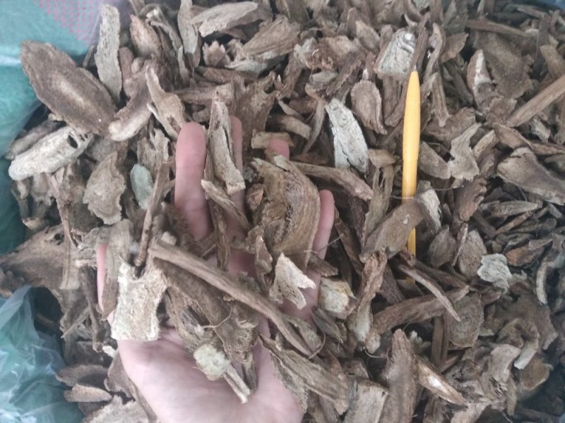 木香无硫云木香蜜香木香个木香片各种规格
