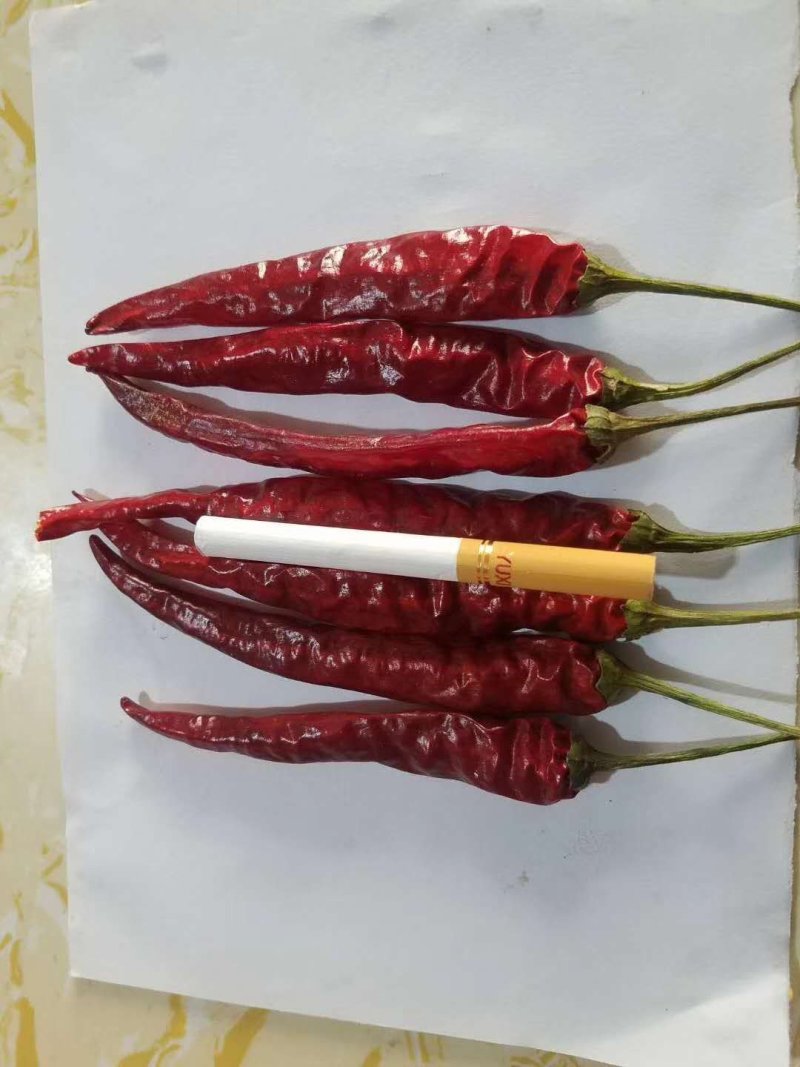 红辣椒