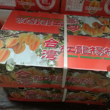 台湾红龙杨桃，65元件50件起批发