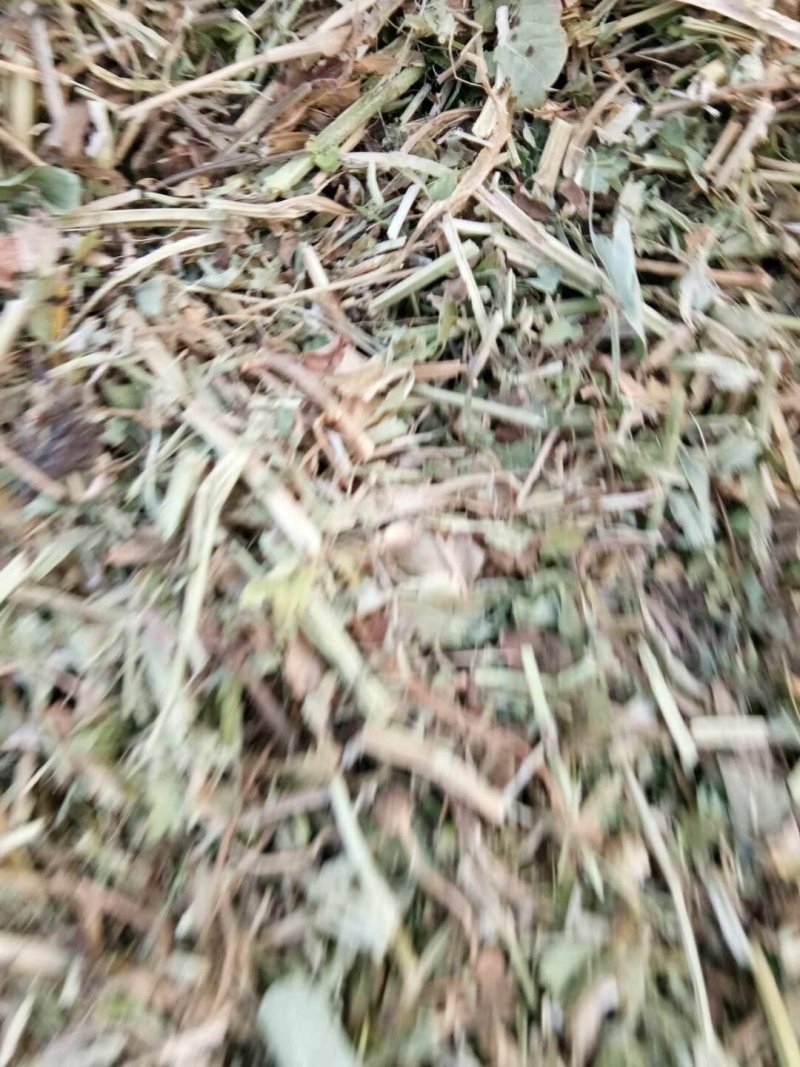 牛预混料牛饲料6个月【质量好价格实惠】保证质量无土无膜