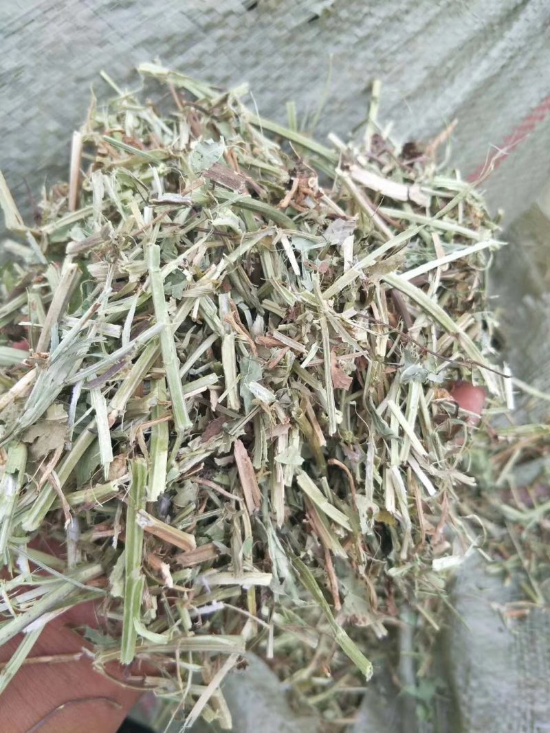 牛预混料牛饲料6个月【质量好价格实惠】保证质量无土无膜
