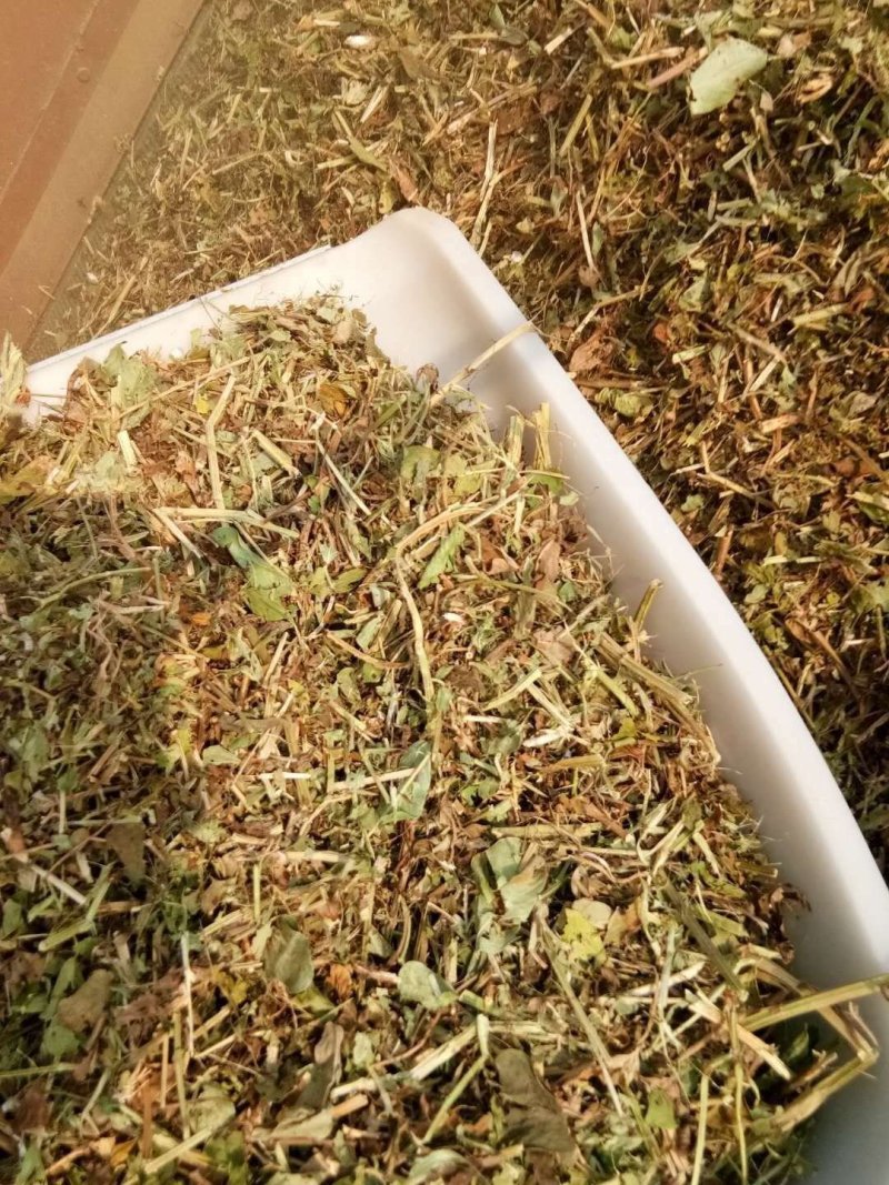 花生秧草料，花生秧草段，厂家直销，保证无土无膜无霉变