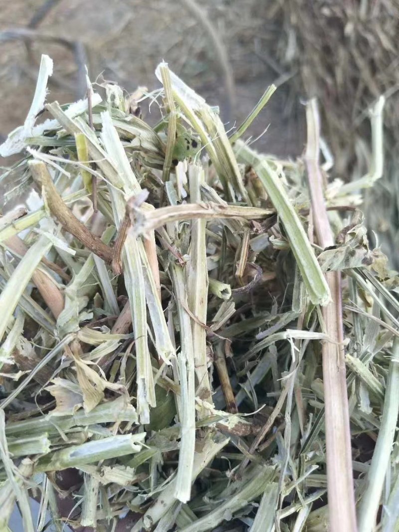 羊饲料羊草质量好价格实惠产地直发保证质量无土无膜