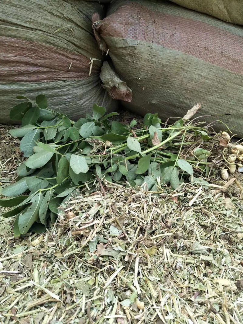 羊饲料羊草质量好价格实惠产地直发保证质量无土无膜