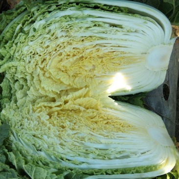 量大