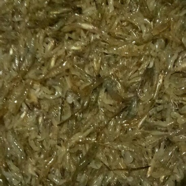 山根鱼河虾
