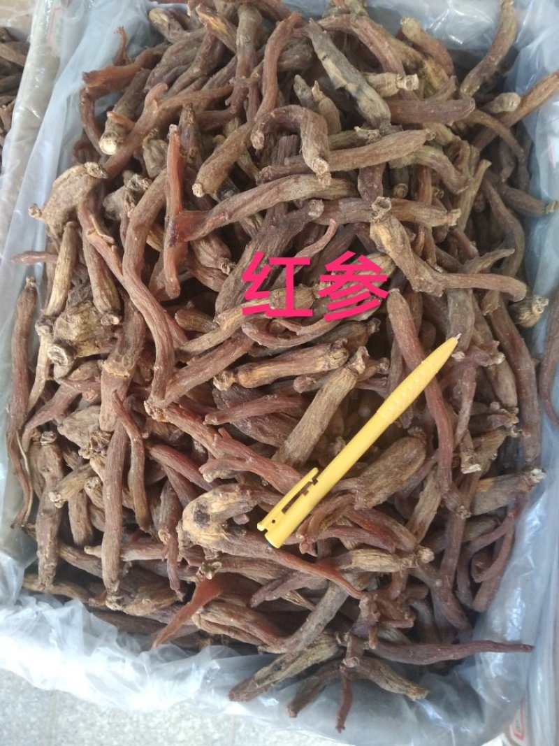 红参中大片