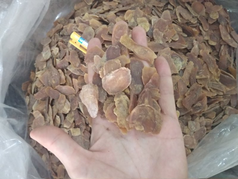 红参中大片