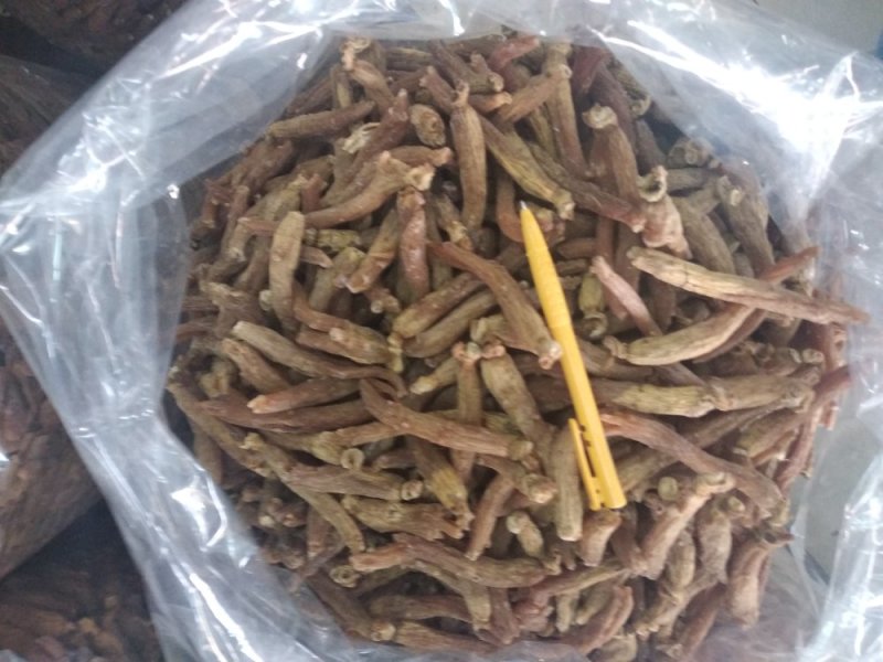 红参中大片