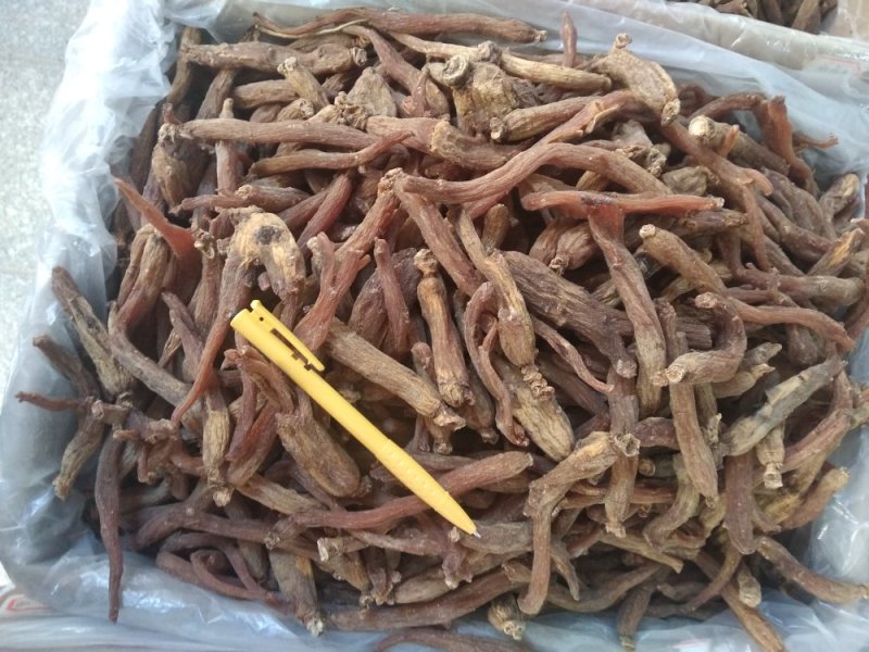 红参中大片