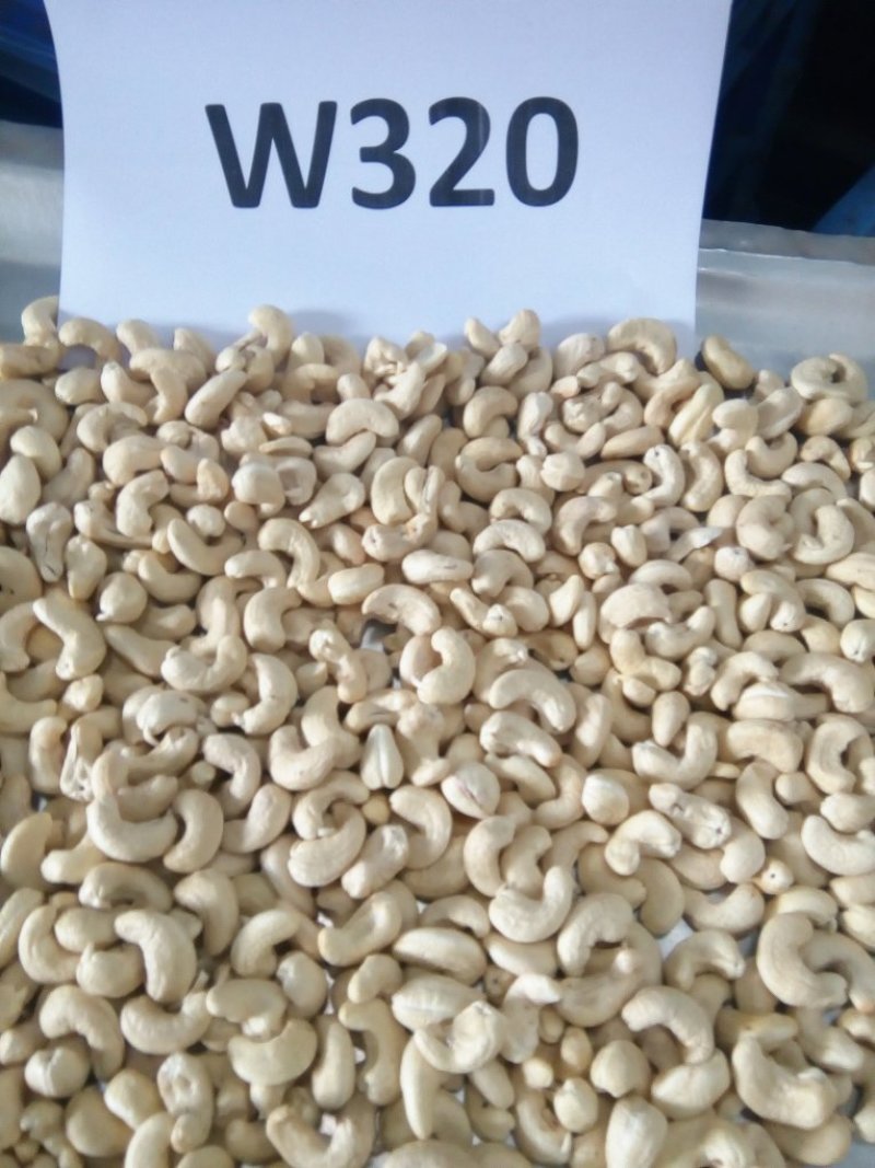 精选大白W320腰果