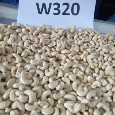 精选大白W320腰果