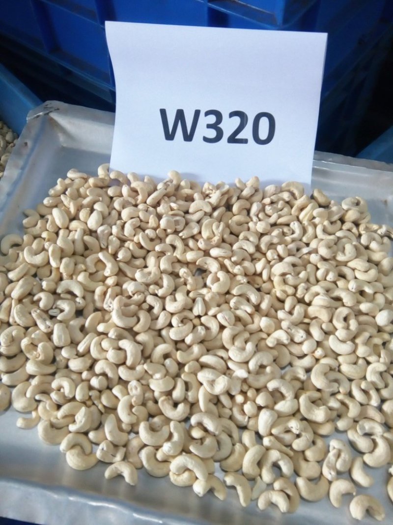 精选大白W320腰果