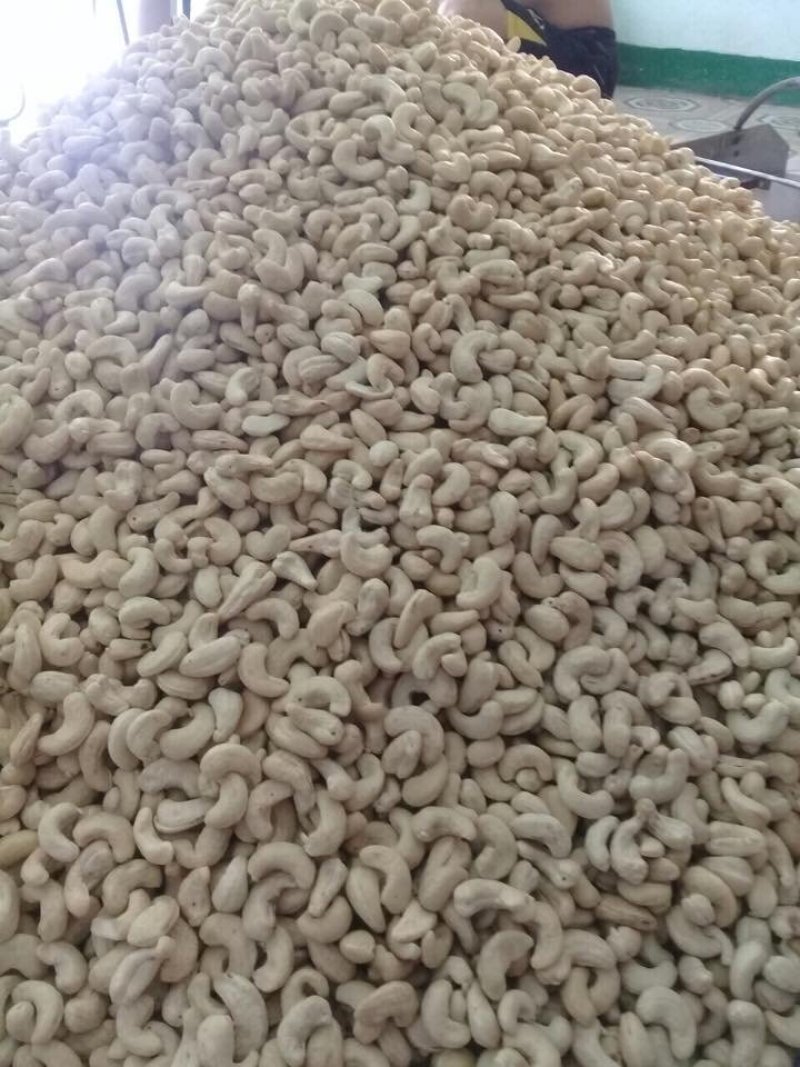 精选腰果W240大白