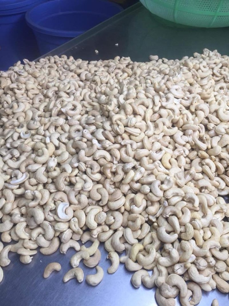 W450大白腰果