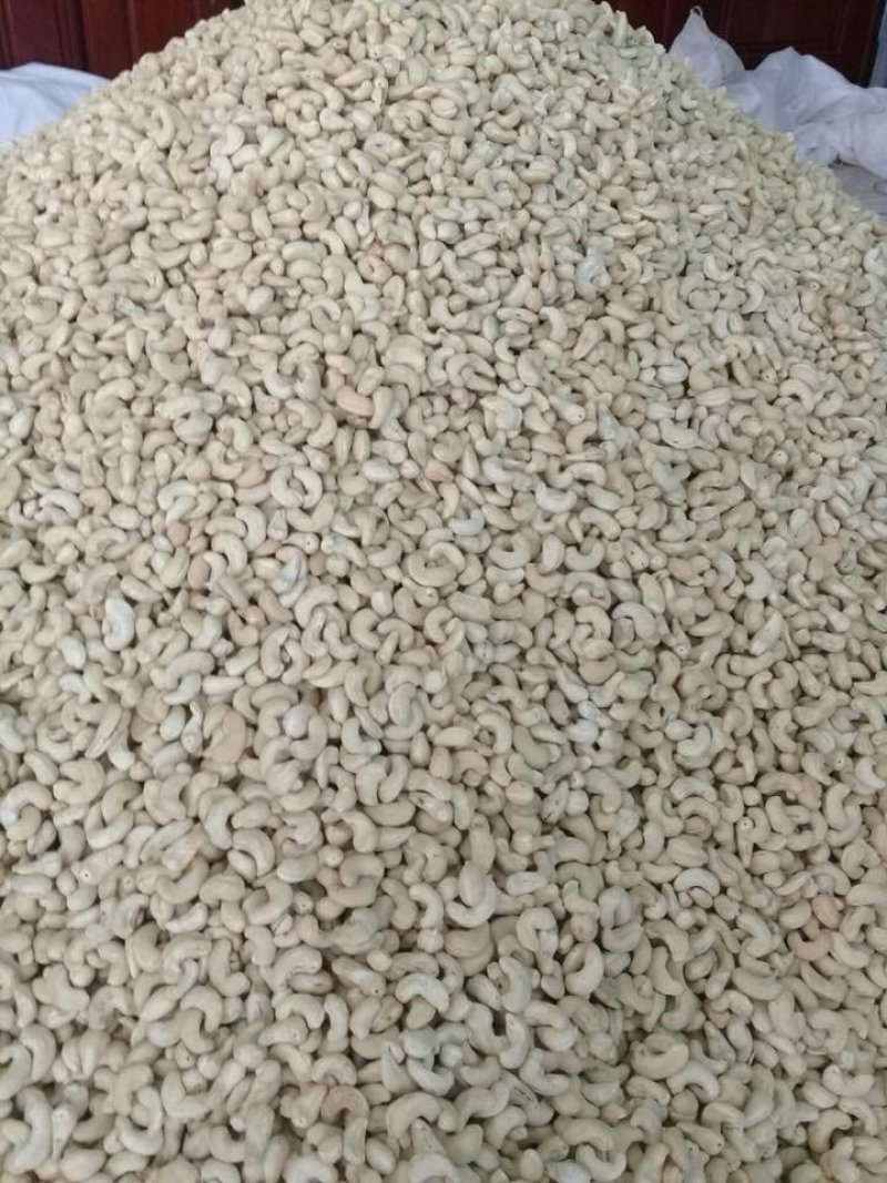 W450大白腰果
