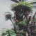杜鹃花贫景