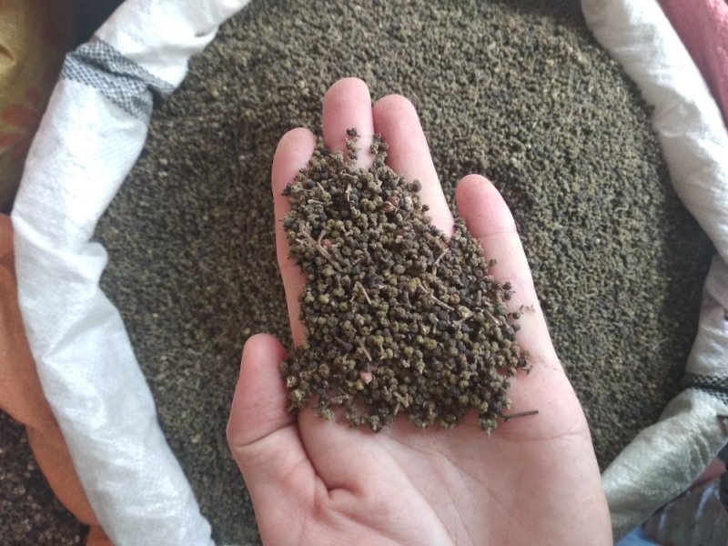 吴茱萸