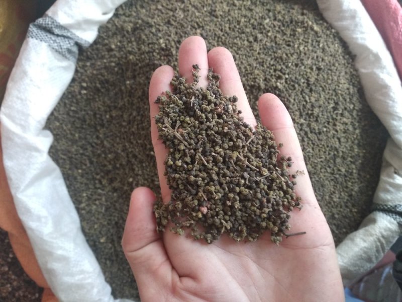 吴茱萸