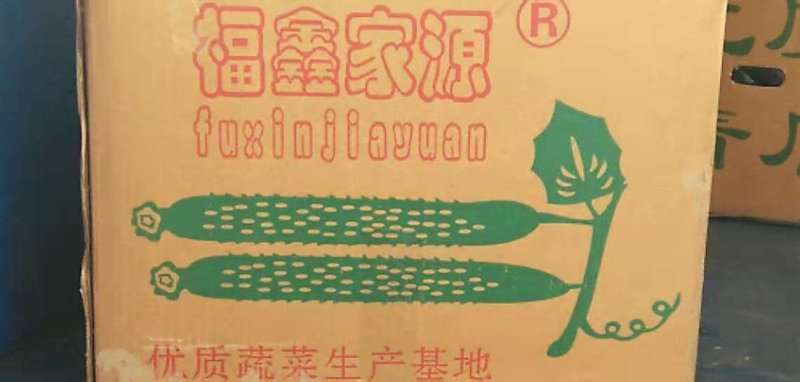 黄瓜