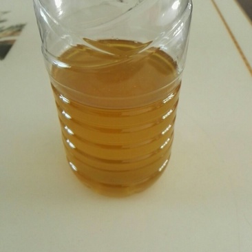 土法压榨纯茶油