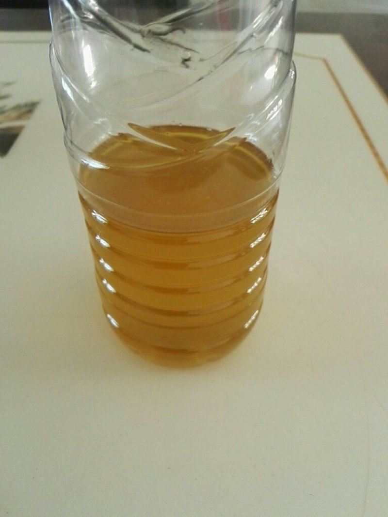 土法压榨纯茶油