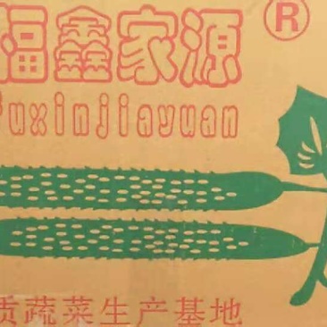 黄瓜