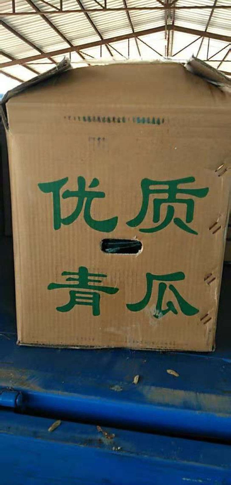 黄瓜