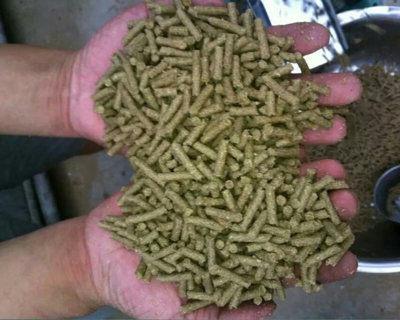养殖场专用饲料加工机械