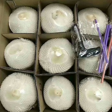 正宗海南椰子
