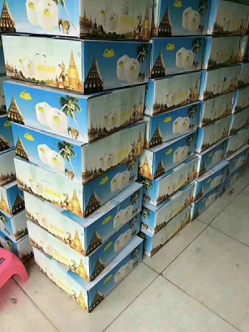 正宗海南椰子