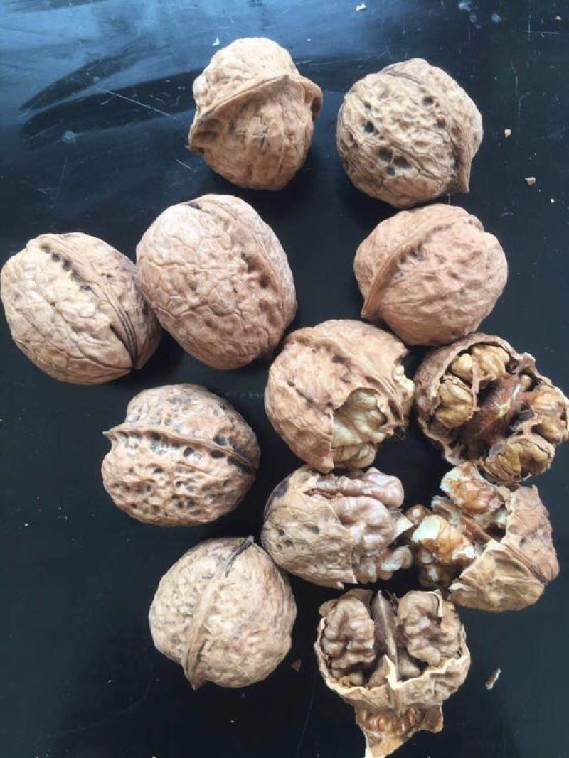 薄皮核桃最新最优质核桃