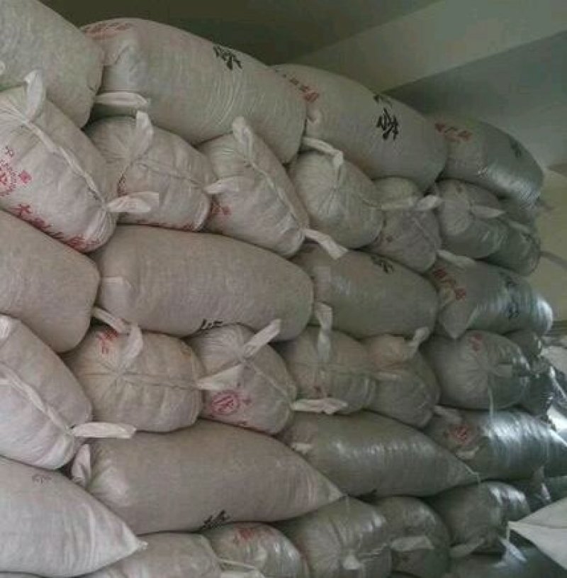 岳西茯苓白丁质量好