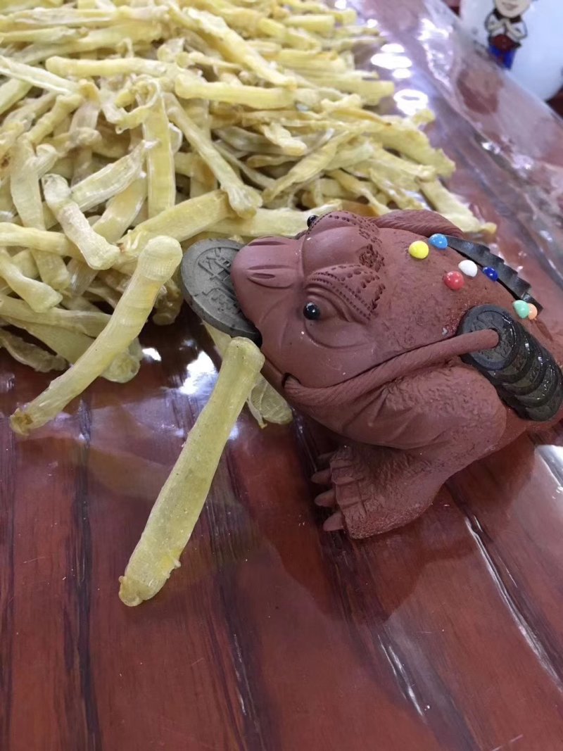 沙虫