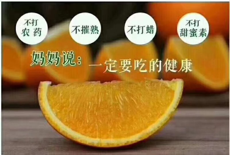 湖南麻阳冰糖橙