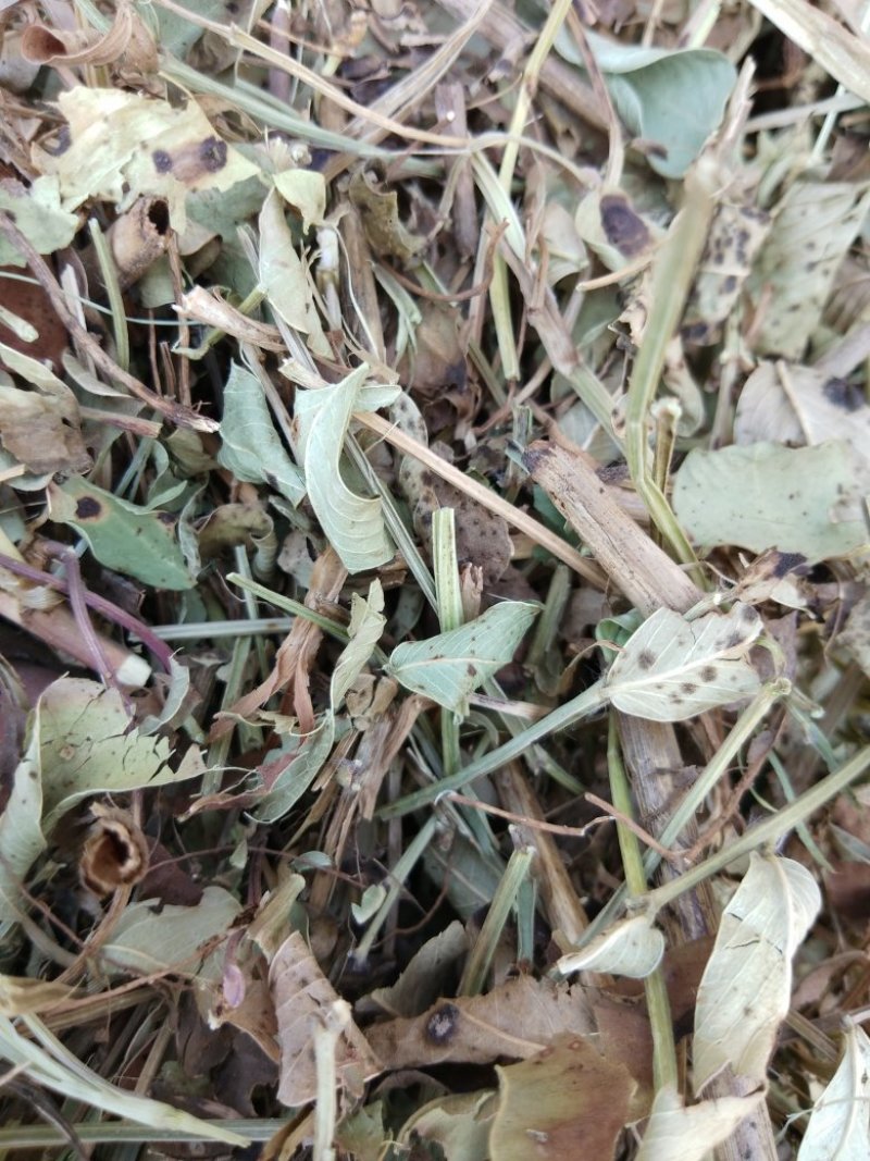 花生秧，羊草，细粉