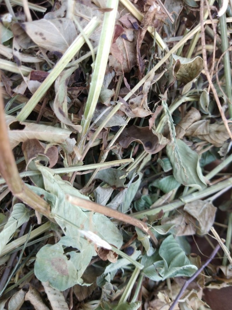 花生秧，羊草，细粉